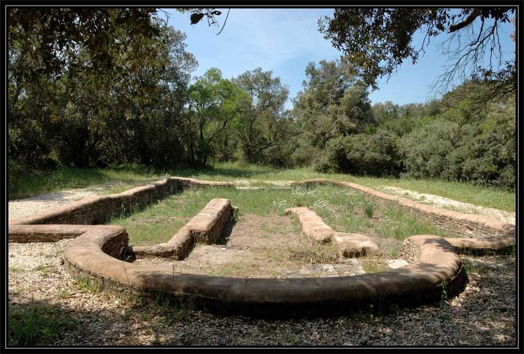 La Pineta di Castelfusano, la Via Severiana e la Villa di Plinio